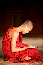 Young Buddhist monk sitting cross legged and writing in a notebook, buddhist monastery, Inle Lake, Shan State, Myanmar, Burma. August 2009
