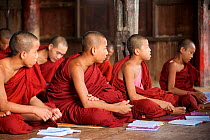 Young Buddhist monks sitting cross legged in a lesson, buddhist monastery, Inle Lake, Shan State, Myanmar, Burma. August 2009