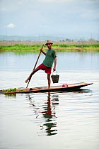 Traditional fishermen who rows with the feet, in Inle Lake, Shan State, Myanmar, Burma. August 2009