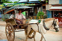 Horse and cart, in the streets of Nyaungshwe, Shan State, Myanmar (before Burma) August 2009