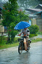 Motorcyclist in heavy rain carryaing umbrella, Nyaungshwe, Shan State, Myanmar, Burma August 2009