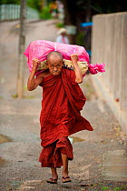 Elderly Buddhist monk in Nyaungshwe, carrying heavy load across his shoulders. Myanmar, Burma. August 2009