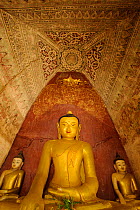 Fresco and Buddha statue inside a temple in Old Bagan, UNESCO World Heritage, Mandalay State, Myanmar, Burma. September 2009