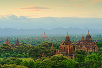 Temples in Old Bagan, UNESCO World Heritage, Mandalay State, Myanmar, Burma. September 2009