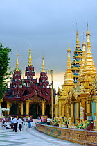Shwedagon Paya, the most important buddhist place in all Myanmar, Yangon, Rangun, Myanmar, Burma. September 2009