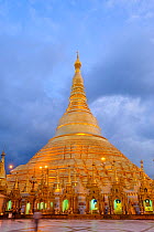 Illuminated Shwedagon Paya, the most important buddhist temple in all Myanmar, Yangon Rangun, Myanmar, Burma. September 2009