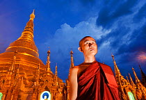Monk standing infront of Shwedagon Paya, the most important buddhist place in all Myanmar, Yangon, Rangun, Myanmar, Burma. September 2009