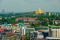 Cityscape including view of Shwedagon Paya, the most important buddhist place in all Myanmar, Yangon, Rangun, Myanmar, Burma. September 2009