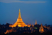 Shwedagon Paya, the most important buddist temple in Myanmar, Yangon, Rangun, Burma. September 2009