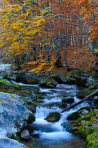 Arazas river in Ordesa y Monte Perdido National Park, Pyrenees, Aragon, Spain. October 2009