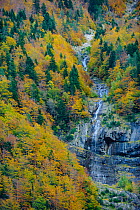 Bujaruelo Valley, Ordesa and Monte Perdido National Park, Pyrenees, Spain.