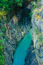 Bellos River in Aisclo Canyon, Ordesa National Park, Pyrenees, Aragon, Spain. October 2009