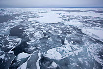 Pack ice on sea, Hinlopen Strait, Svalbard, Norway, August 2009