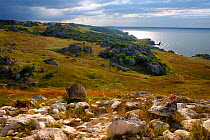 Bagerova Steppe coastal landscape, Kerch Peninsula, Crimea, Ukraine, July 2009