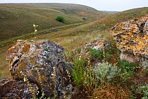 Rocks in Bagerova Steppe, Kerch Peninsula, Crimea, Ukraine, July 2009