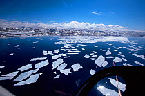 Ice floes seen from helicopter, Lancaster Sound, Canadian Arctic, June 2000