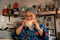 Inuit woman chewing on animal skin to soften it prior to sewing, Qappik, Arctic Bay, Nunavut, June 2002