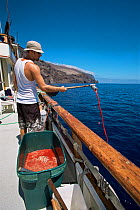 Man pouring bait for shark into water, using fish blood and bones, on shark-diving boat, Guadalupe, Mexico, September 2002