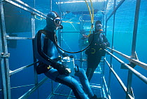 Two divers in shark cage, waiting for Great white shark, off shark-diving boat, Guadalupe, Mexico, September 2002