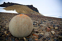 Large naturally formed spherical rock on Champa Island, Franz Josef Land, Russian Arctic, July 2007