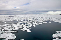 Aerial view of sea ice, Franz Josef Land, Russian Arctic, July 2008