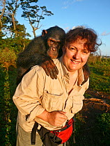 Photographer Sue Flood carrying Nakuu, a female Chimpanzee (Pan troglodytes) Ngamba Island Chimpanzee Sanctuary, Uganda, September 2008