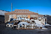 Hut at Cape Royds from Sir Ernest Shackleton's Nimrod Expedition (1907-1909) Ross Sea, Antarctica, December 2008