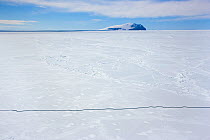 Lead or crack in sea ice near Ross Island, Antarctica, December 2008