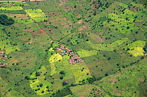 Aerial view of Malawian village showing fragments of natural forest and scattered trees with cassava and maize crops, Malawi. March 2009
