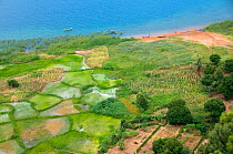 Aerial photo of rice paddies and plots of maize on the shore of Lake Malawi, Likoma Island, Malawi. March 2009