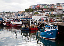Fishing-boats moored at Brixham Harbour, with colourful houses in the background. Devon, England, UK, 2009.