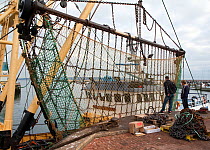 Beam trawl hoisted up for inspection whilst moored between fishing trips at Brixham Harbour. Devon, England, UK, 2009.