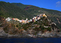 Corniglia village, amongst olive groves high on a promontory in the Cinque Terre, Italy, 2006.