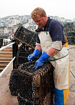 Fisherman adding escape hatch to lobster pot in order to improve size selectivity. Brixham Harbour, Devon, England, UK, 2009. Model released.