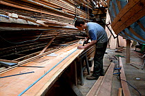 Man sketching the outline of hull planks during construction of a wooden fishing boat at the Underfall Yard, Bristol, England, UK, 2009. Model released.