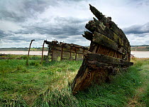 Remains of the hull of "New Dispatch", a two masted schooner built in Speyside in 1888, on the banks of the River Severn, Purton, England, UK, 2009. The vessel was deliberately beached in 1961 (one of...