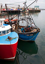 Fishing boats moored at Brixham Harbour, Devon, England, UK, 2009.