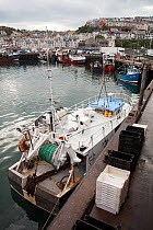 Longliner moored at Brixham Harbour, Devon, England, UK, 2009.
