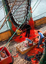 Crew repairing the nets aboard a beam trawler, Brixham Harbour, Devon, England, UK, 2009.