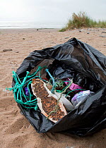 Sack of litter, mostly plastics, collected by volunteers during an organised Beach Clean Up on Newton Beach, South Wales, UK, Tidy Wales Week, Sept, 2009.