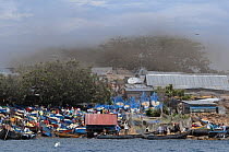 Fishing village on the shores of Lake Victoria with swarm of Lake flies (Chironomid sp) Uganda