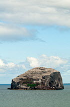 Castle ruins and Lighthouse on Bass Rock in the Firth of Forth, East Lothian, Scotland, UK