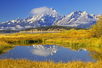 Small pond near Jackson Lake with mountains reflected on a calm morning, Grand Teton National Park, Wyoming, USA, September 2006