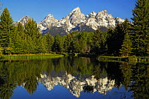 Beaver pond with mountains reflected in water, Grand Teton National Park, Wyoming, USA, May 2007