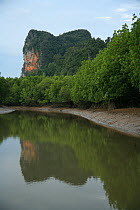 Limestone cliffs towering over mangroves reflected in water, Phang-Nga Bay, Ao Phang-Nga National Park, Phang-Nga Province, Thailand, October 2006