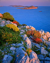 Coastal landscape, Kornati National Park, Mana Island, Croatia, May 2009 WWE BOOK