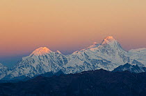 Manaslu range seen from Laurebinya, at sunrise, Laurebinya, Langtang - Gosaikund region, Nepal, November 2009