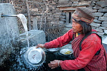 Woman washing dirty plates at the village tap. Tamang ethnic group, Tamang heritage trail, Gadlang, Langtang region, Nepal. November 2009