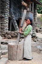 Young girl preparing grains with traditional tools. Tamang ethnic group, Tamang heritage trail, Thuman, Langtang region, Nepal. November 2009