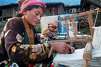 Woman weaving, Tamang ethnic group, Tamang heritage trail, Thuman, Langtang region, Nepal. November 2009